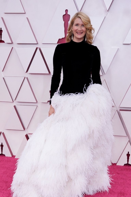 H Laura Dern