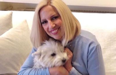 photo by @fofigennimata on instagram