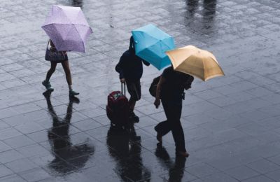 Εύκολη και γρήγορη συνταγή για τα πιο τέλεια χριστουγεννιάτικα μπισκότα 