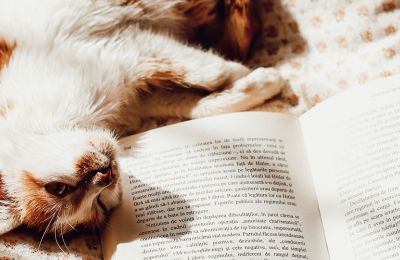 Photo by Márton Szalai on Unsplash