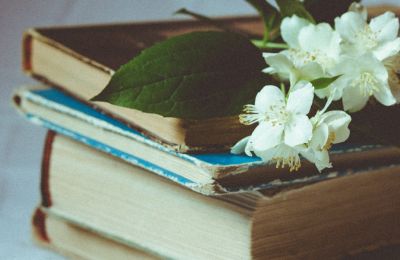 Photo by Sherise Van Dyk on Unsplash