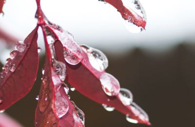 Photo By Pexels