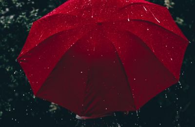  Ron Lach on Pexels
