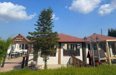 Πώς τα δάση και χώροι πρασίνου μειώνουν τους κινδύνους για την υγεία;