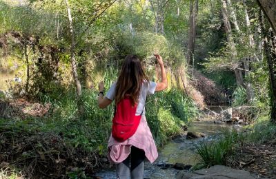 Ένας Φραγκοφονιάς χαμένος στην πόλη