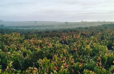 Καλό σουβλάκι στα περίχωρα και στα χωριά