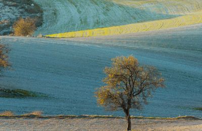 Rolling fields, Athienou, Larnaca II-110cm