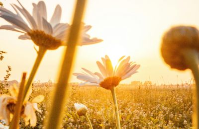 photo by Pexels