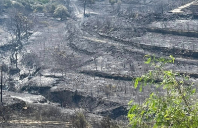 Η ανάρτηση του Παγκύπριου Σύνδεσμου Οινοχόων για τους κατεστραμμένους 