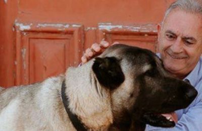 Η ανάρτηση του Αβέρωφ Νεοφύτου για την Παγκόσμια Ημέρα Σκύλου
