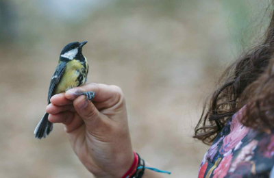 Photos By BirdLife Cyprus