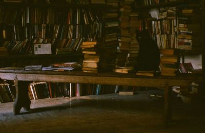 Photo by Vasily Ledovsky on Unsplash