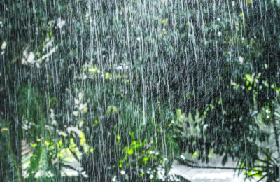 Photo By VistaCreate