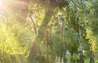 Photo By VistaCreate