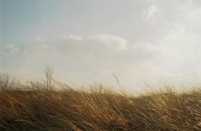 Σκόνη και άνεμοι στο «μενού» του καιρού