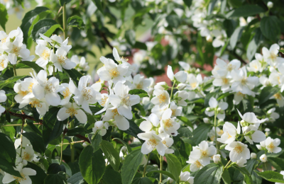 Photo By VistaCreate