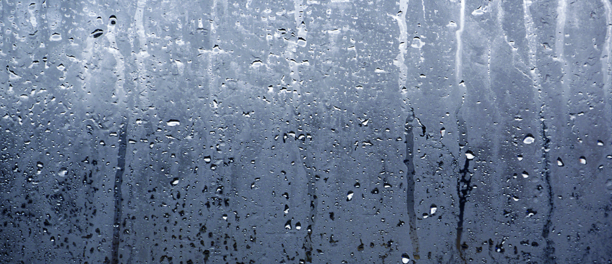 Photo By VistaCreate