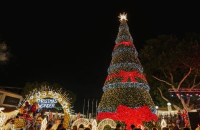 Ζήστε τη μαγεία των γιορτών σε Παραλίμνι και Δερύνεια