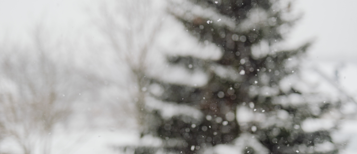 Photo By VistaCreate