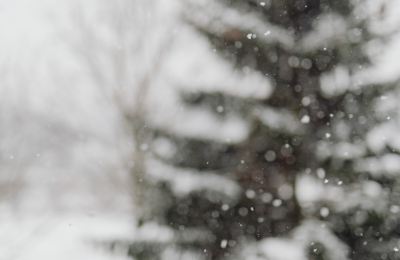 Photo By VistaCreate