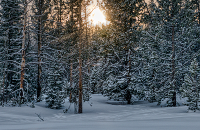 Photo By VistaCreate