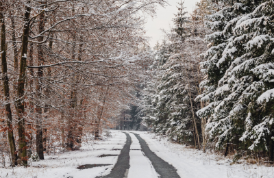 Photo By VistaCreate