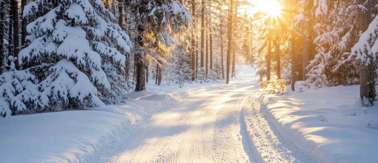 Photo By VistaCreate