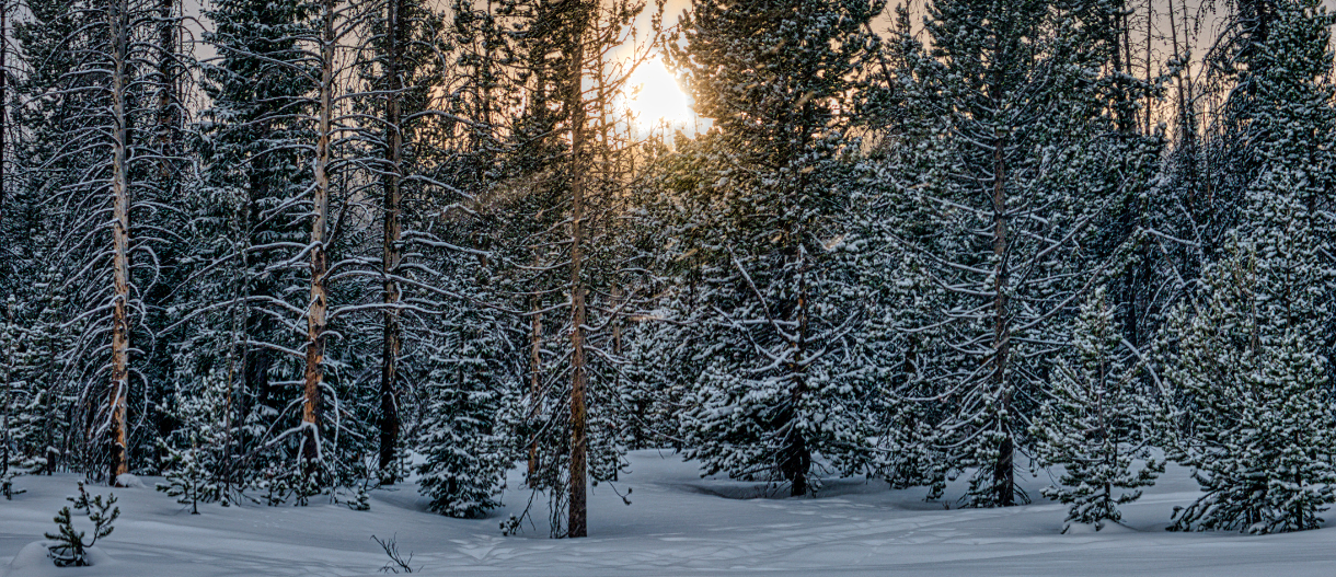 Photo By VistaCreate