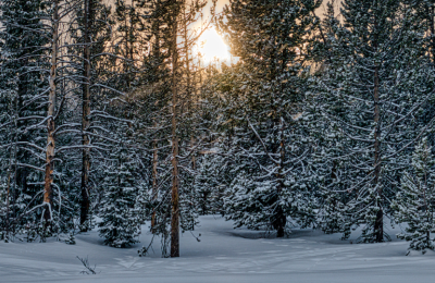 Photo By VistaCreate