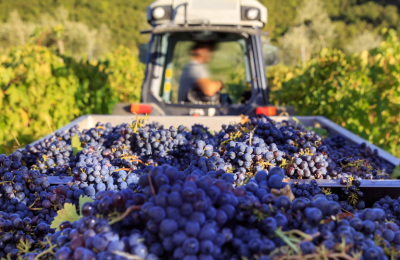 Ο πιο σημαντικός sommelier της Κύπρου σχολιάζει 10 trends για το κρασί