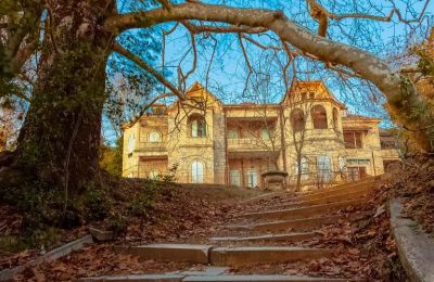 Τατόι: Το βασιλικό κτήμα που κουβαλά ιστορία, φύση και αναμνήσεις