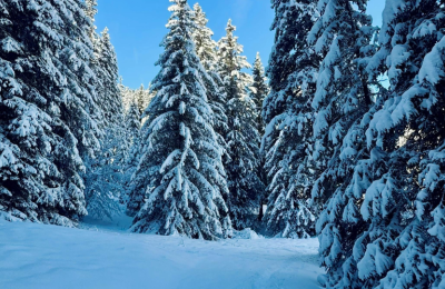 Photo By VistaCreate