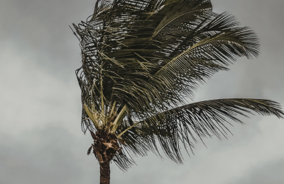 Photo By VistaCreate