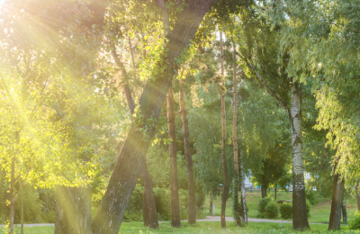 Photo By VistaCreate