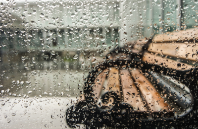 Photo By VistaCreate