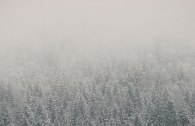 Photo By VistaCreate