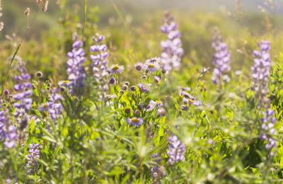 Photo By VistaCreate