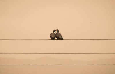 Οι φωτογραφίες δημοσιεύθηκαν στο Facebook Group ΚΑΙΡΟΦΙΛΟΙ ΚΥΠΡΟΥ από τη Nika Golion  