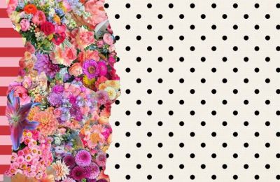 Photos from Pinterest