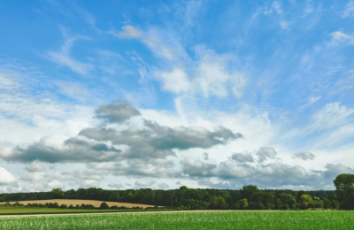 Photo By Canva