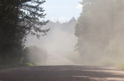 Photo By Canva
