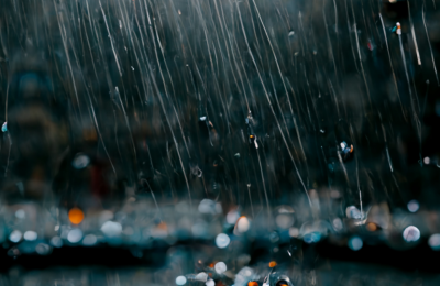 Photo By Canva