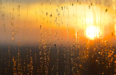 Photo By Canva