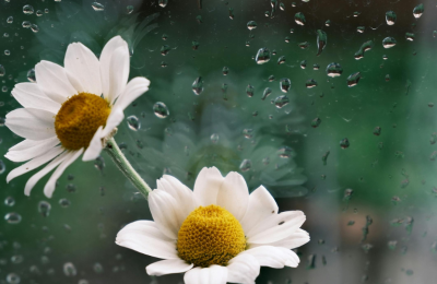 Photo By Canva