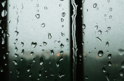 Photo By Canva