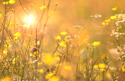 Photo By Canva