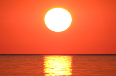 Photo By Canva