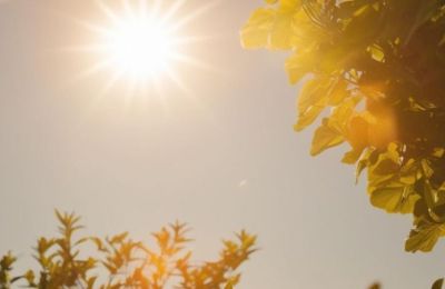 Photo by Pinterest (https://www.pinterest.com/pin/8655424282832321/)